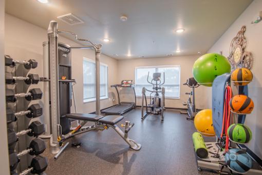 A well-equipped gym with various exercise equipment and a row of dumbbells on the left.