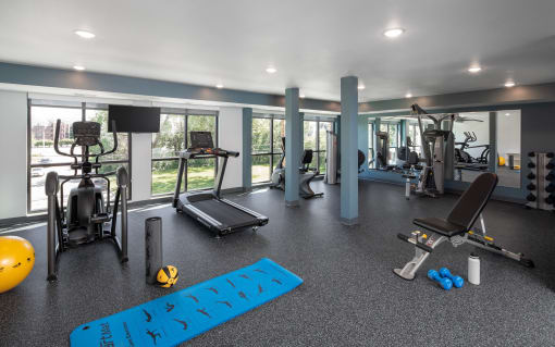 a gym with cardio equipment and weights on the floor