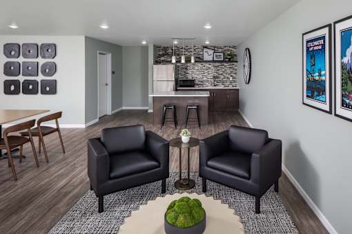 Two black leather chairs are placed in a room with a green plant on the table between them.