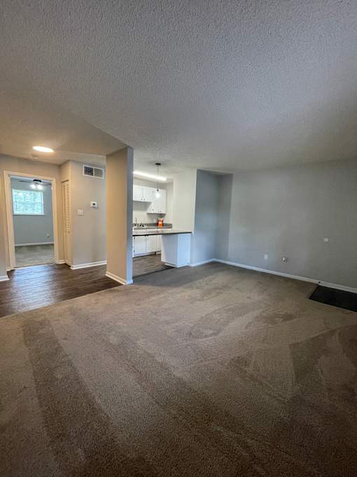 A room with a carpeted floor and a kitchen area in the background.