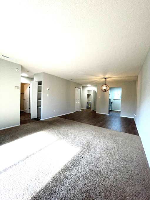 A large, empty room with a carpeted floor and white walls.