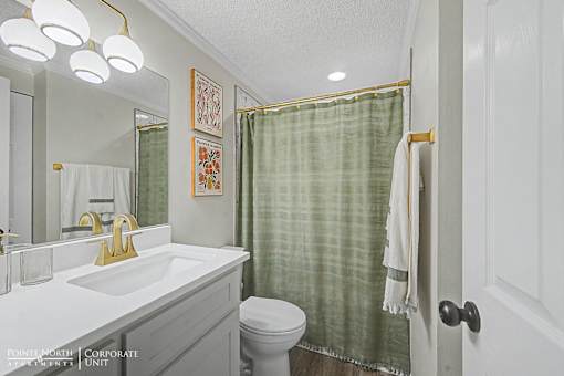 A bathroom with a toilet, sink, and shower curtain.
