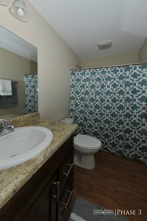 a bathroom with a toilet and a sink and a mirror