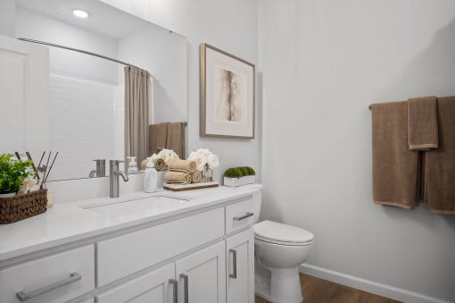 a bathroom with a sink and a toilet