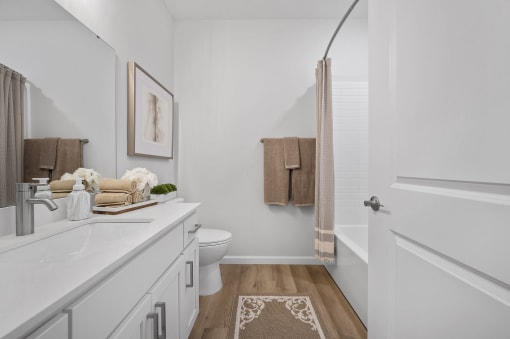 a bathroom with a sink and a toilet and a shower