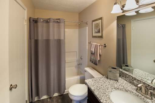 A bathroom with a toilet, sink, and shower curtain.