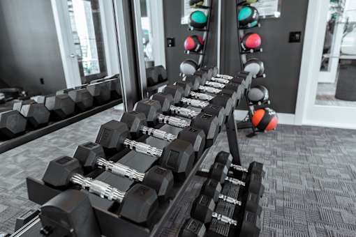 A set of dumbbells is arranged on a rack in a gym.