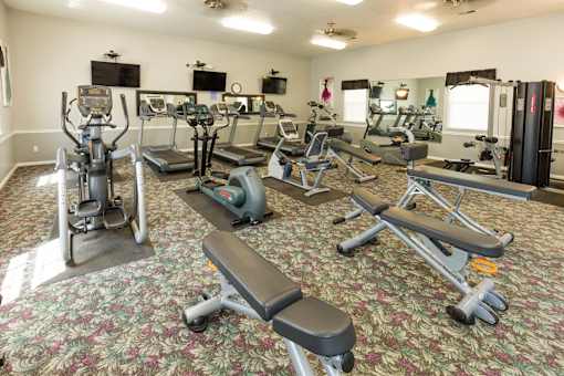 A gym with a variety of equipment including treadmills, exercise bikes, and weight machines.