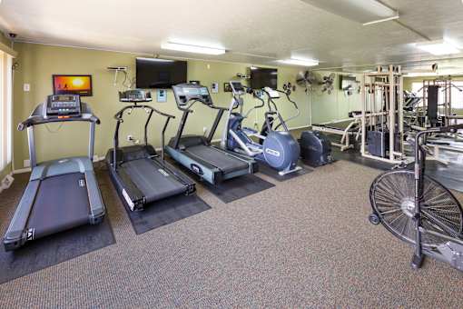 A gym with treadmills, elliptical machines, and a fan.