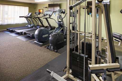 A gym with treadmills and weight machines.