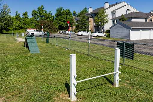 A white fence with a green post in the middle divides a grassy area.