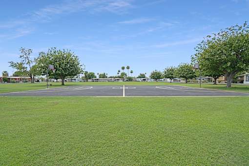 A large grassy field with trees and a clear sky.
