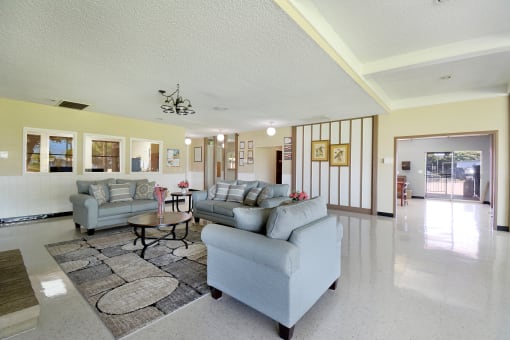 Clubhouse Couches
