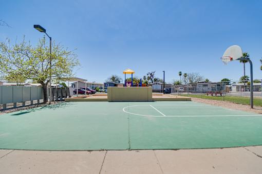 A basketball court with a green surface and a white hoop.