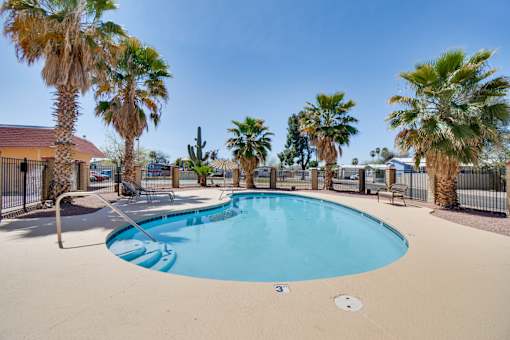 A swimming pool surrounded by palm trees.