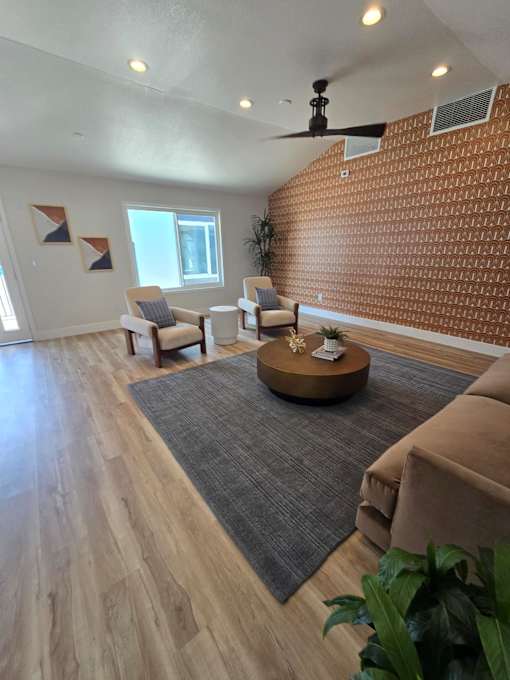 A ceiling fan with lights and a plant on the floor.