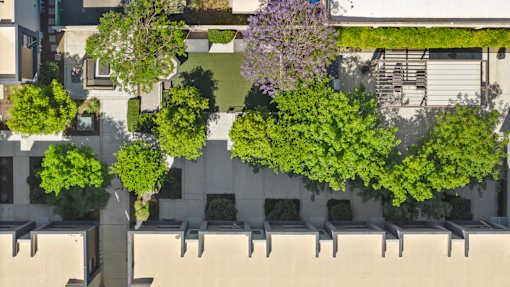 A row of trees in front of a building.