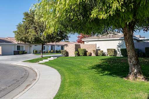 a house with a tree in the yard in front of it