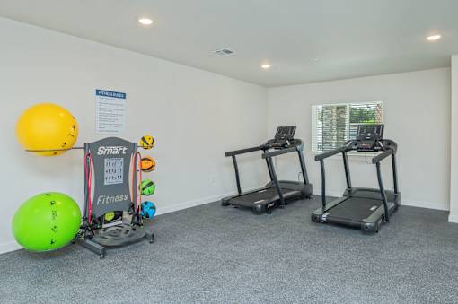 A gym with two treadmills and exercise balls.