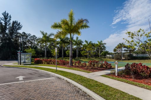 a street with a basketball court and palm trees in the background