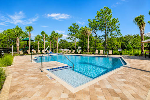 A swimming pool surrounded by palm trees and a clear blue sky.