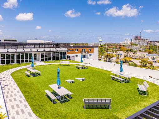 A sunny day at the park with green grass and blue umbrellas.