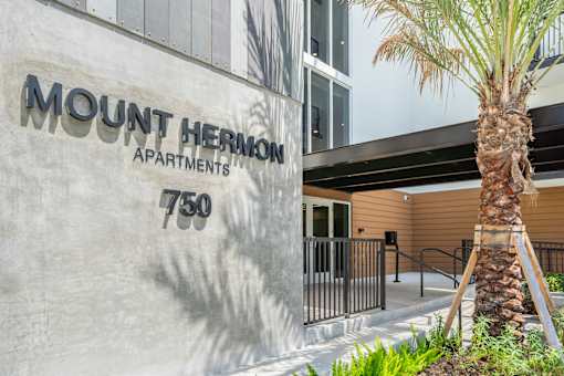 Mount Hermon Apartments is a modern building with a palm tree in front.