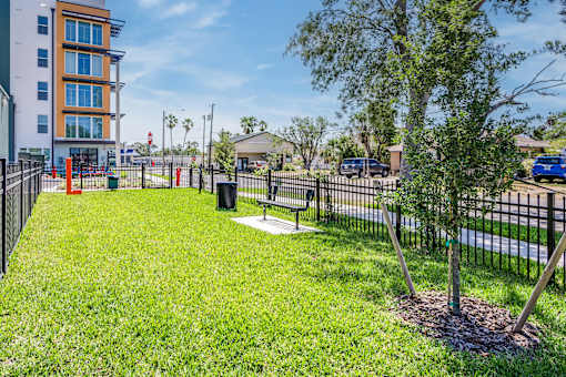 A tree is planted in a small garden in front of a fence.