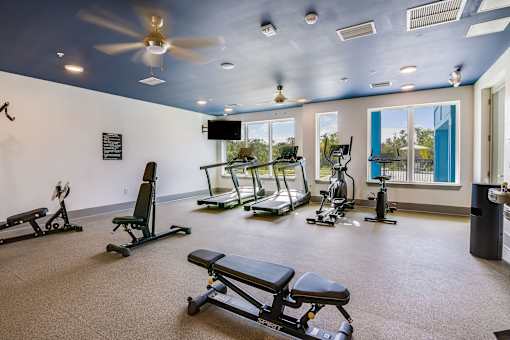 A gym with a variety of equipment including treadmills, weights, and a bench press.
