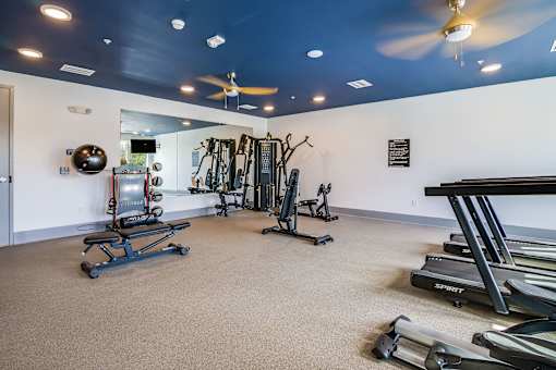 A gym with a variety of equipment including treadmills, weights, and a rowing machine.