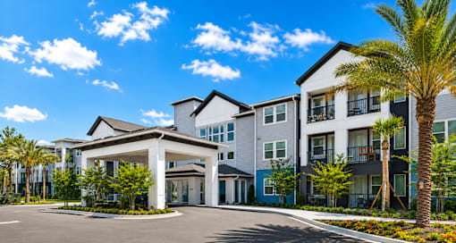 A large building with a white entrance and a palm tree in front.