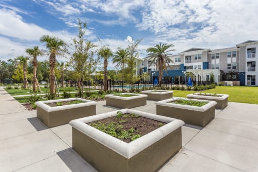 Valencia Grove II