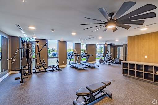 A spacious gym with a variety of equipment including treadmills, weights, and a bench press.