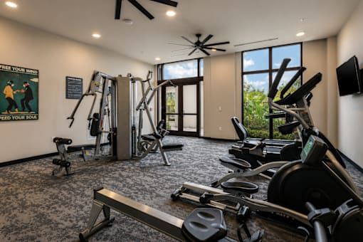 A gym with a variety of equipment including treadmills, weights, and a bench press.