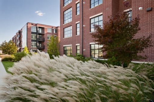 a fountain of grass in front of a brick building  at The Sheffield Englewood, Englewood, NJ, 07631