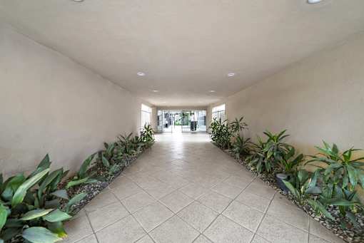 A long hallway with plants on the sides.