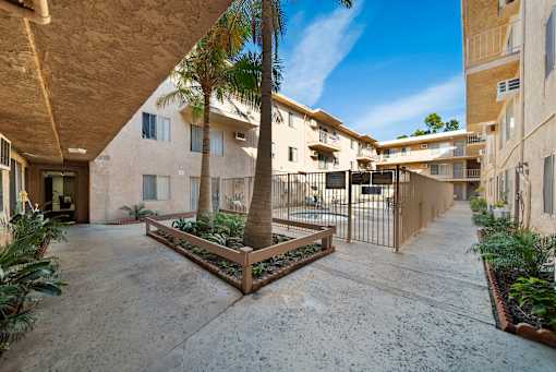 A courtyard with a palm tree and a fence.