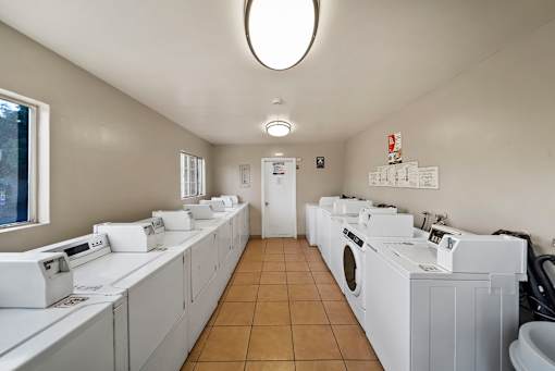A laundromat with rows of washers and dryers.