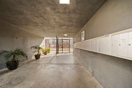 A long hallway with concrete walls and floor, a metal gate in the middle, and potted plants on the sides.