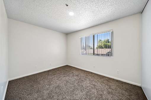 A room with a window and carpeted floor.