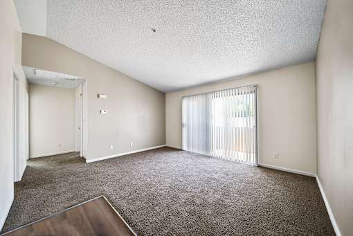 A large empty room with a carpeted floor and a window with blinds.