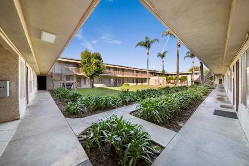 A long concrete walkway leads to a building with a row of palm trees in the background.