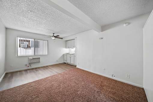 A room with a brown carpet and a window with blinds.