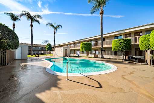 A pool surrounded by palm trees and bushes.
