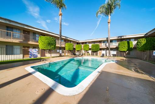 A swimming pool in a sunny day surrounded by palm trees and bushes.