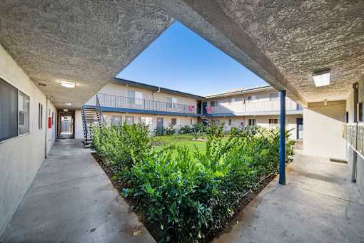 A courtyard with a green lawn and plants.