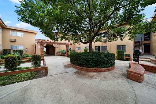 A courtyard with a tree and bushes in the middle surrounded by buildings.