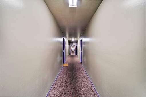 A long hallway with a purple line on the floor.