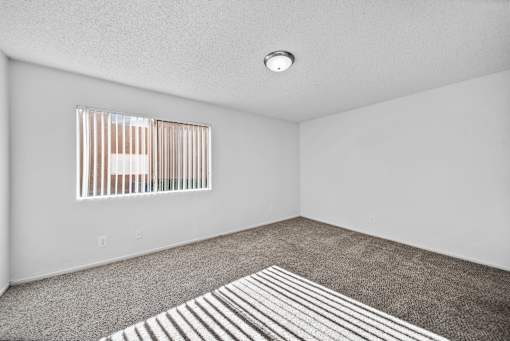 A room with a window and a carpet.