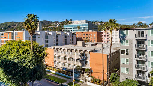 A view of a residential area with buildings and palm trees.